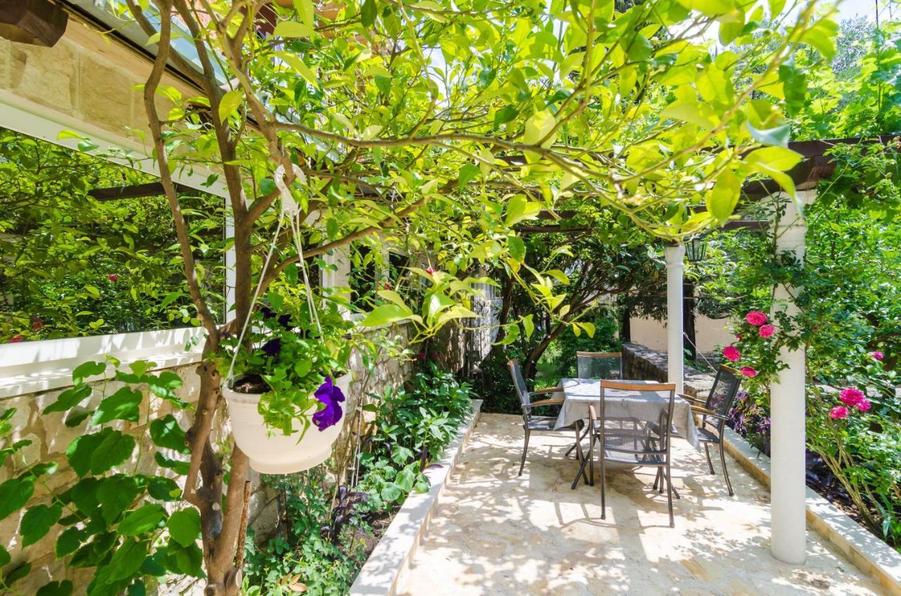 Camelia Luxury * Dubrovnik